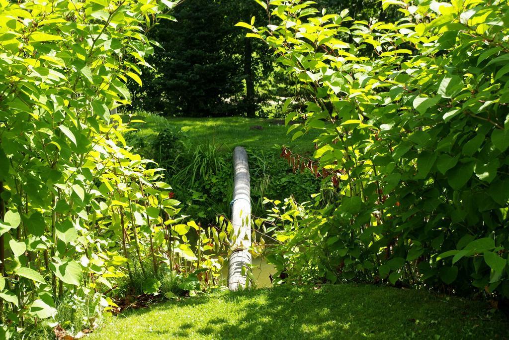 Udumaee Holiday Farm Kirikuküla Extérieur photo